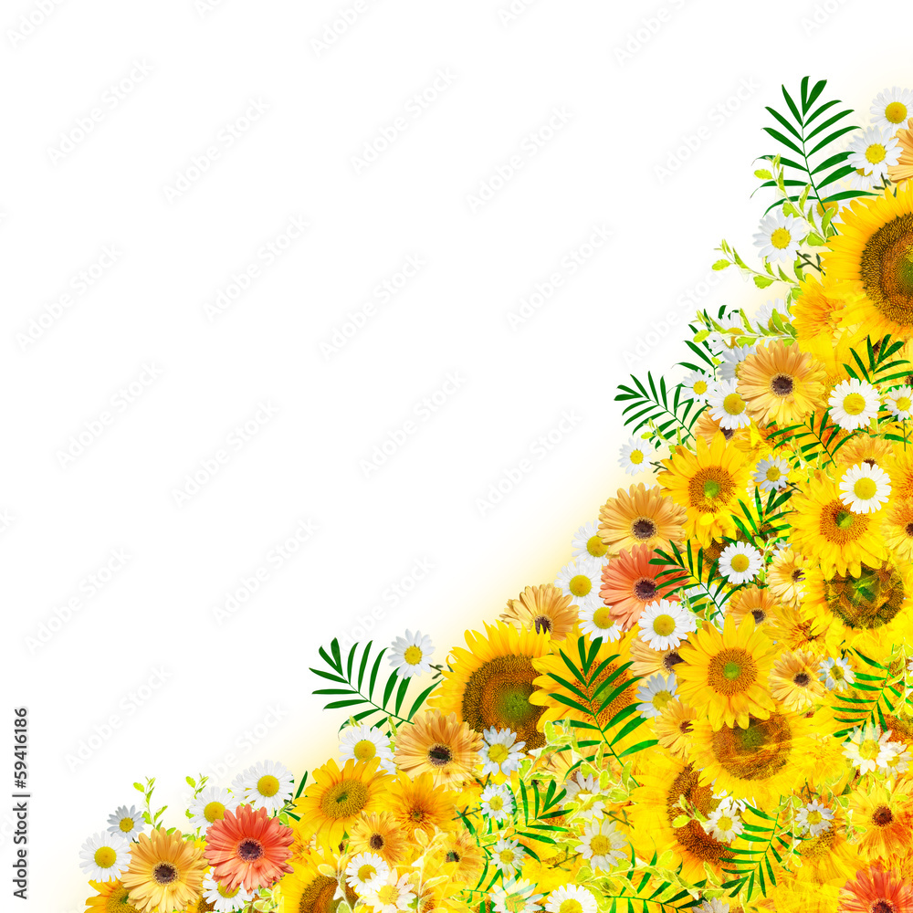 花のコラージュ Wall Mural Wallpaper Murals Wallsheaven Aq Taro Images 花のコラージュ Wall Mural Wallpaper Murals Wallsheaven Aq Taro Images