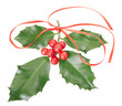 Holly with red ribbon decoration on white, clipping path
