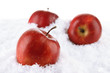 Red apples in snow isolated on white