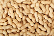 Peanuts texture background