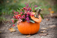 Fall Decoration With Pumpkin