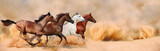 Fototapeta Konie - Herd gallops in the sand storm