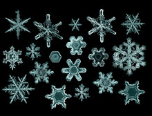 Natural Crystal Snowflake Macro