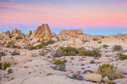 Obraz na płótnie canvas dwuczęściowy "dyptyk" Park Narodowy Joshua Tree