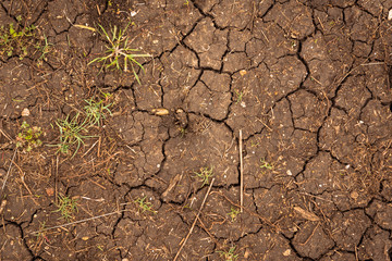 Closeup of dry soil texture