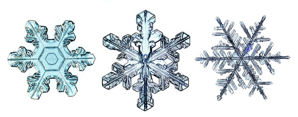 natural crystal snowflake macro