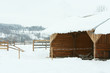 Stable for horses in winter