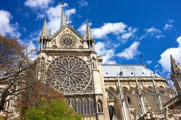 Wall Mural - Notre Dame de Paris