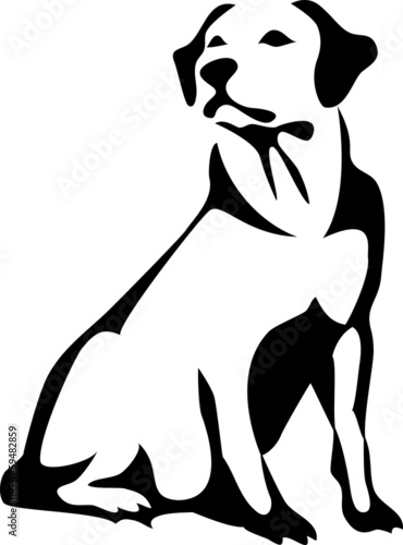 Obraz na płótnie canvas czteroczęściowy "tetraptyk" Siedzący retriever