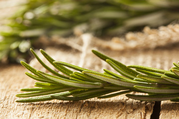 Fresh Organic Green Rosemary