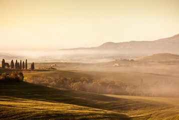 Canvas Print - Morning fog view in Tuscany