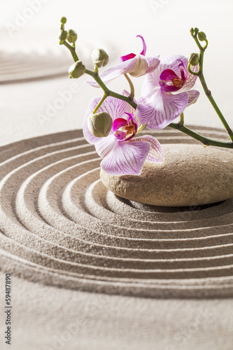 Naklejka dekoracyjna zen aesthetics with sand and flower