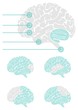 mózg widok z boku schemat elementy infograficzne