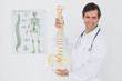 © lightwavemedia - Smiling male doctor holding skeleton model