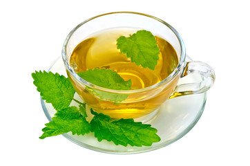 Herbal tea with nettles in a glass cup