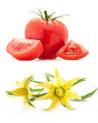 Wall Mural - Tomato and flowers isolated on white background