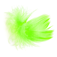 Wall Mural - Green feather