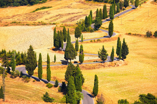 Board z aluminiowym obramowaniem Cyprys, drzewo, sceniczny, droga, w, monticchiello, blisko, siena, tuscany, i