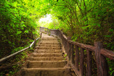 Fototapeta Las - Stairway to forest, Kanchanburi,Thailand