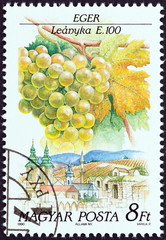 Wall Mural - Leanyka grapes variety, Eger (Hungary 1990)