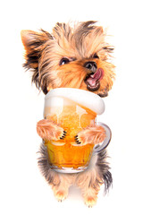 Wall Mural - drunk dog with beer