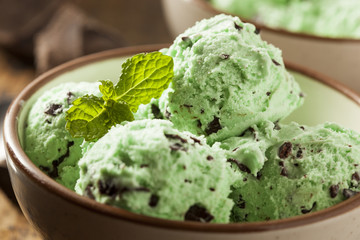 Wall Mural - Organic Green Mint Chocolate Chip Ice Cream