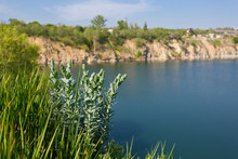 Green Grass On Lake Background