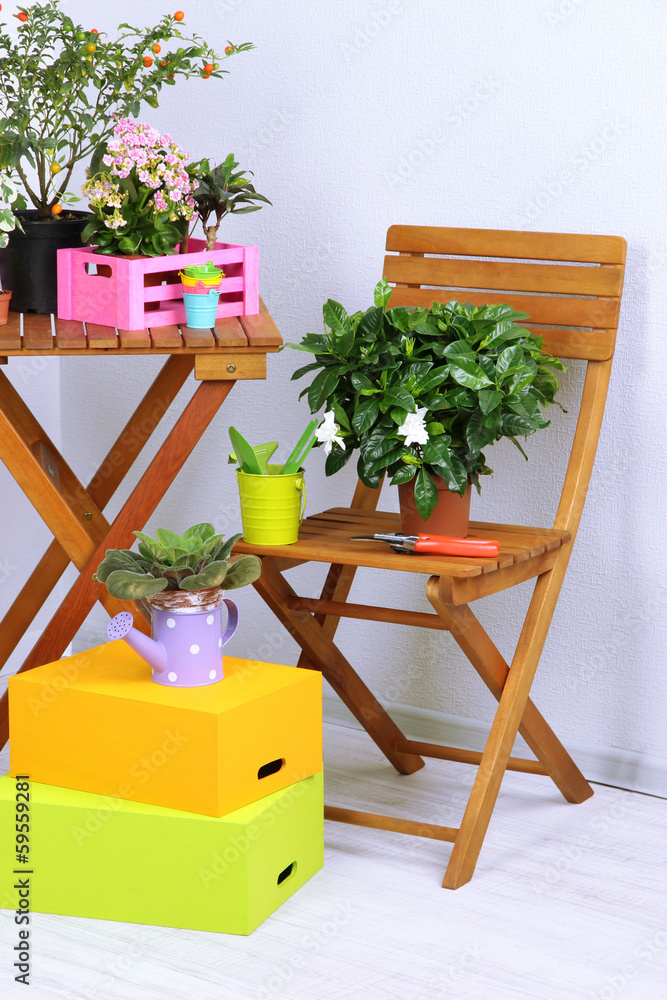 Many beautiful flowers on table and chair in room