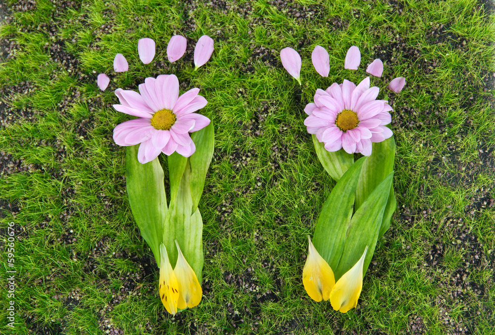 Footprints of leaves and flowers on grass close-up