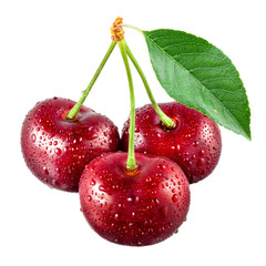 Wall Mural - Cherry with drops isolated on white background