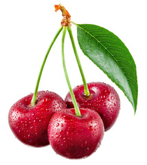 Wall Mural - Cherry with drops isolated on white background