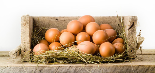 Wall Mural - Chicken eggs in basket isolated. Organic food