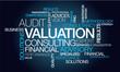 Valuation consulting services expert finance word tag cloud