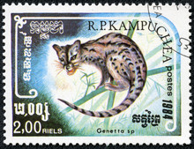 Stamp Printed By Cambodia, Shows Genetta Sp