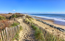 Footpath On The Atlantic Dune In Brittany
