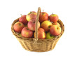Brown wicker basket full of ripe apples isolated closeup