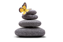 Butterfly On A Stack Of Balanced Stones