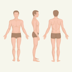 man body , front, back and side human pose