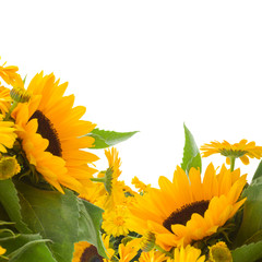 Wall Mural - sunflowers and calendula flowers