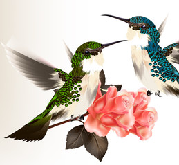 Wall Mural - Cute valentine card with couple of humming bird and roses