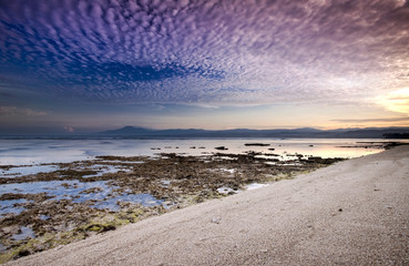 Wall Mural - Beautiful beach