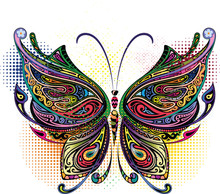 Variegated Butterfly I