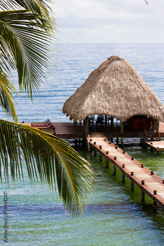 Plakat na zamówienie Tropical Belize