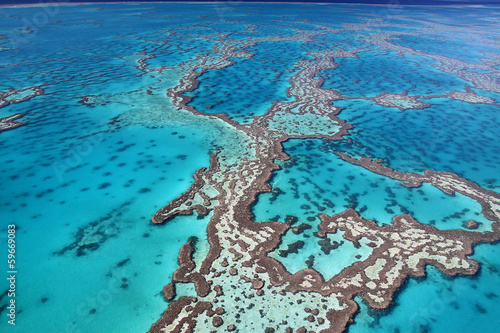 the magnificent great barrier reef of australia the magnificent great barrier reef of australia