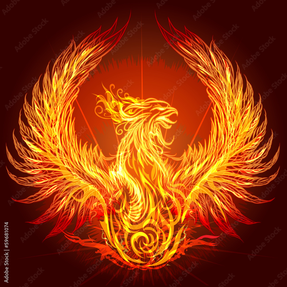The Phoenix の Stock ベクター | Adobe Stock
