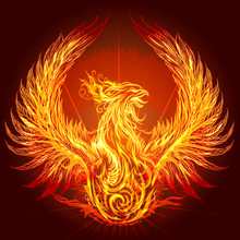 The Phoenix