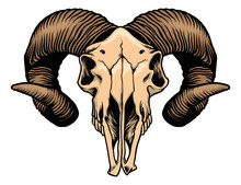 Goat Head Skull