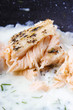 © agneskantaruk - Salmon in dill sauce, closeup, selective focus
