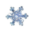 natural crystal snowflake macro