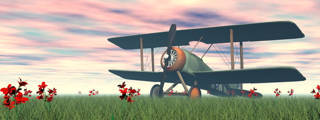 Wall Mural - Biplane on the grass - 3D render